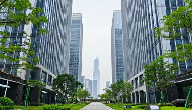 地区适用条件对业务趋势的影响分析